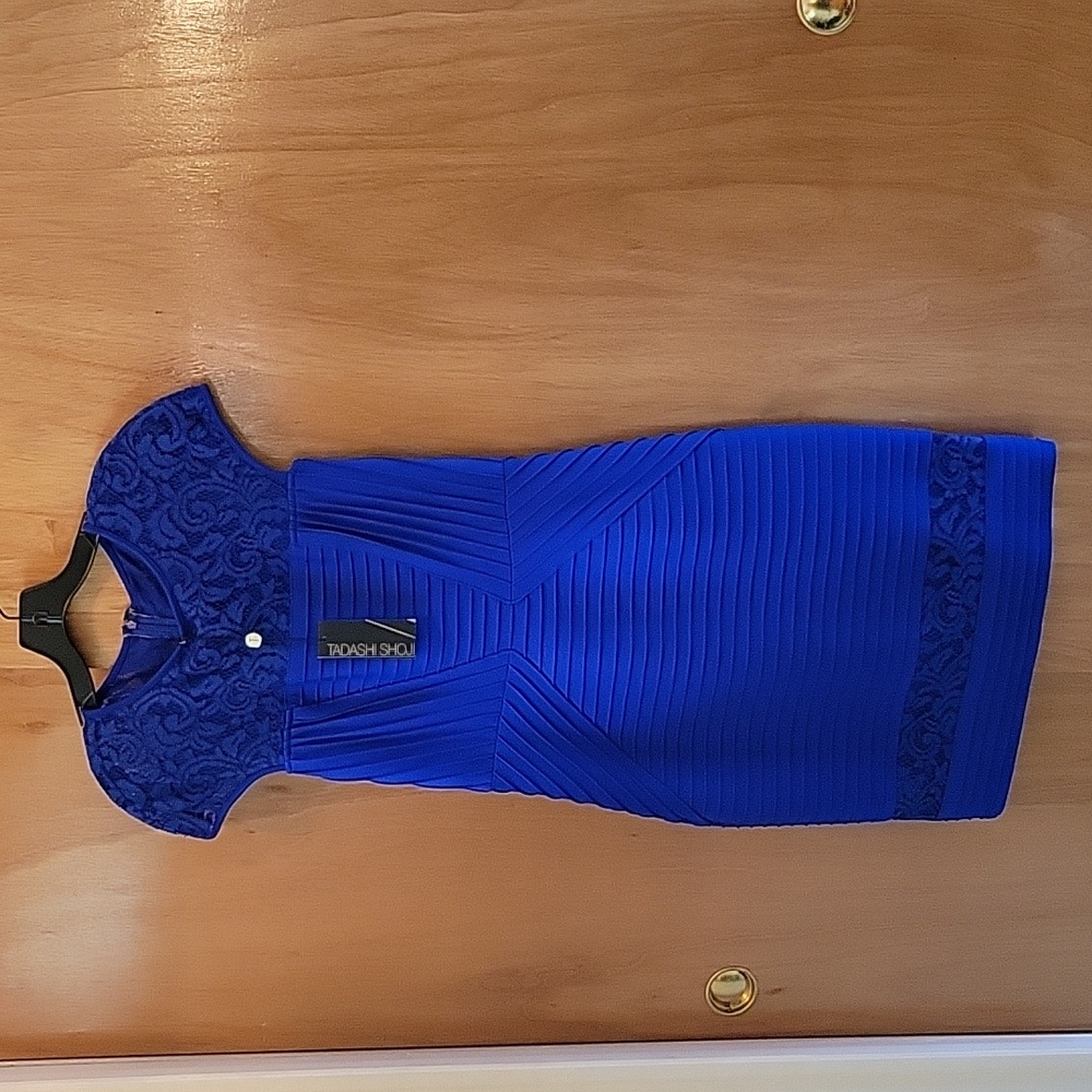 Tadashi Shoji Fitted Dress with Lace Inserts